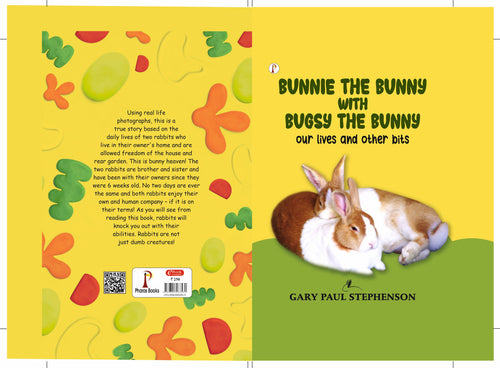 Bunnie The Bunny with Bugsy The Bunny, our lives and other bits